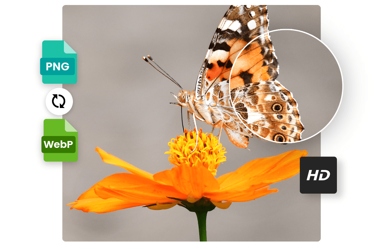 Cover Image for How to Convert PNG to WebP Easily Without Uploading Files?