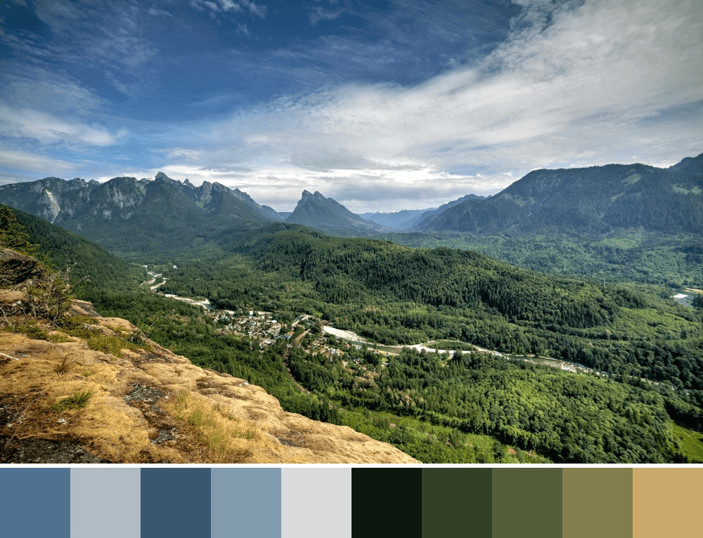 tools:imageColorExtractor.name