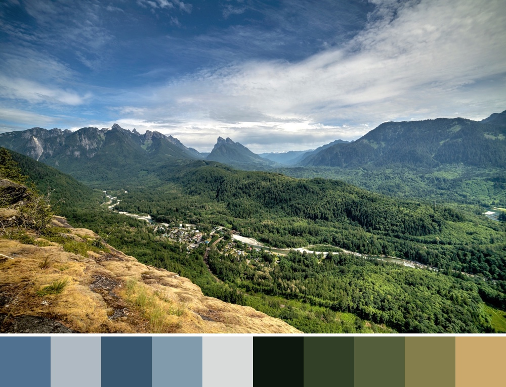 tools:imageColorExtractor.name